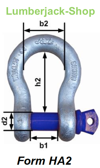 Schäkel - geschweifte Form HA2